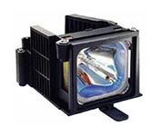 EC.J2101.001