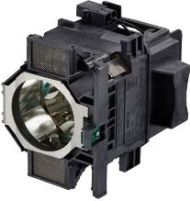 ELPLP81
