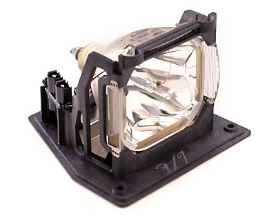 LAMP-031