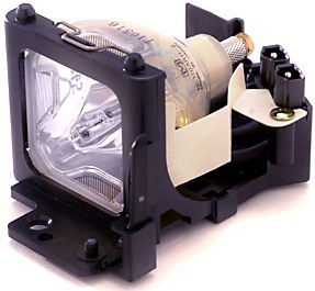 LAMP-029