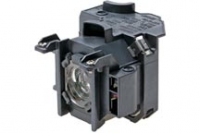 ELPLP38